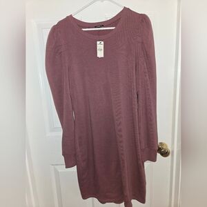 Express Sweatshirt Mauve Dress Size Large